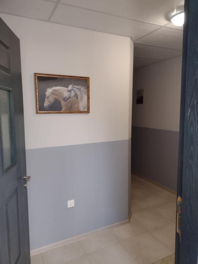 Apartments Emiza Самоков Экстерьер фото